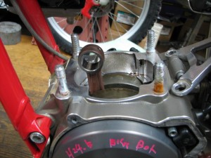 Ｅ/Ｇの中に鶏が！